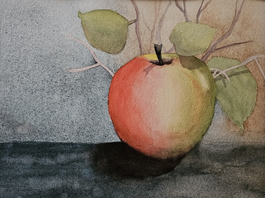 "Apple of my Eye", watercolour on cotton paper